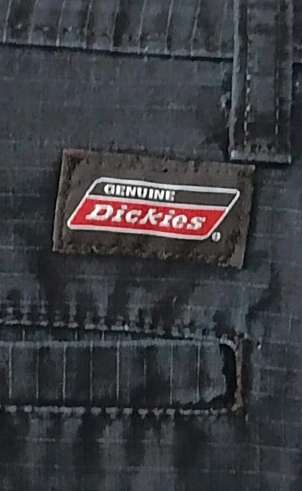 Short Dickies Noir Taille 38 – photo 10